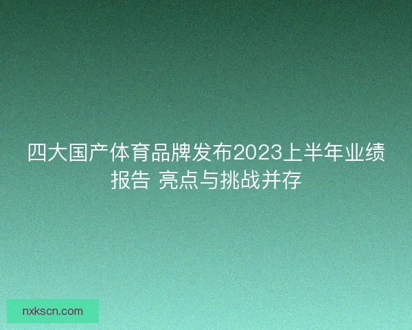 四大国产体育品牌发布2023上半年业绩报告 亮点与挑战并存